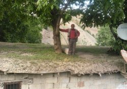 Evin İçinden Ceviz Ağacı Geçiyor