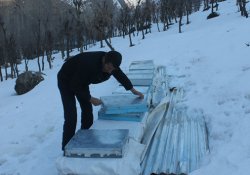 Soğuklara dayanamayan arılar telef oldu