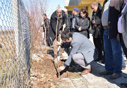 Diyarbakır'da 'her eve iki meyve fidanı' projesi