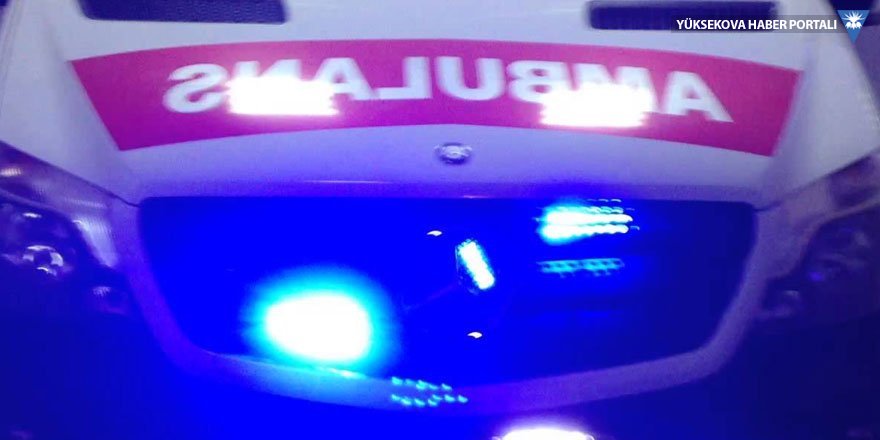 Kız çocuk ablasının yanında vurularak öldürüldü