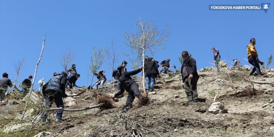 Hakkari'de ağaçlandırma çalışması