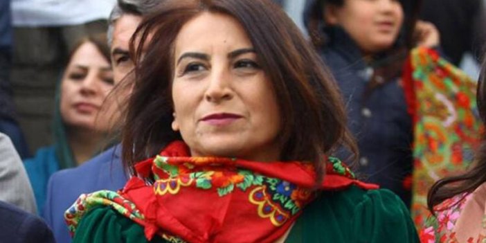 Gözaltına alınan Aysel Tuğluk serbest bırakıldı