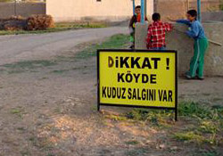 Bir köy karantinaya alındı