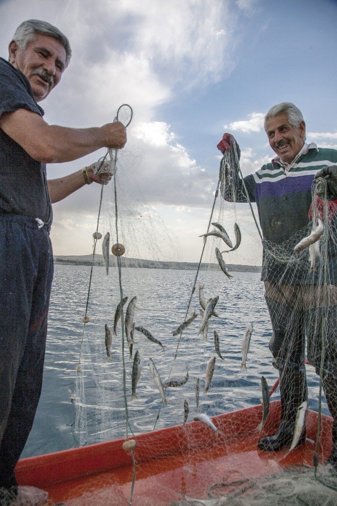 Van Gölü balıkçıları inci kefali avına başladı