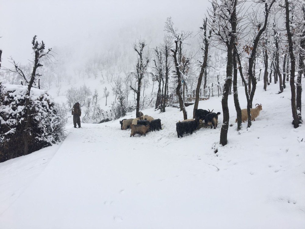 Beytüşşebap ve Uludere'de kar yağışı