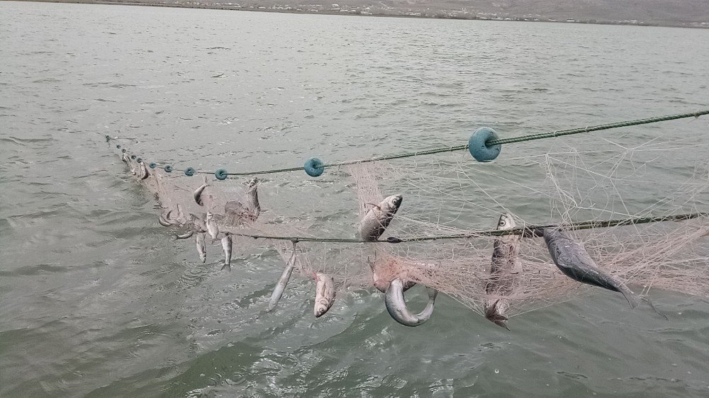 Van Gölü’nde av yasağı başlıyor