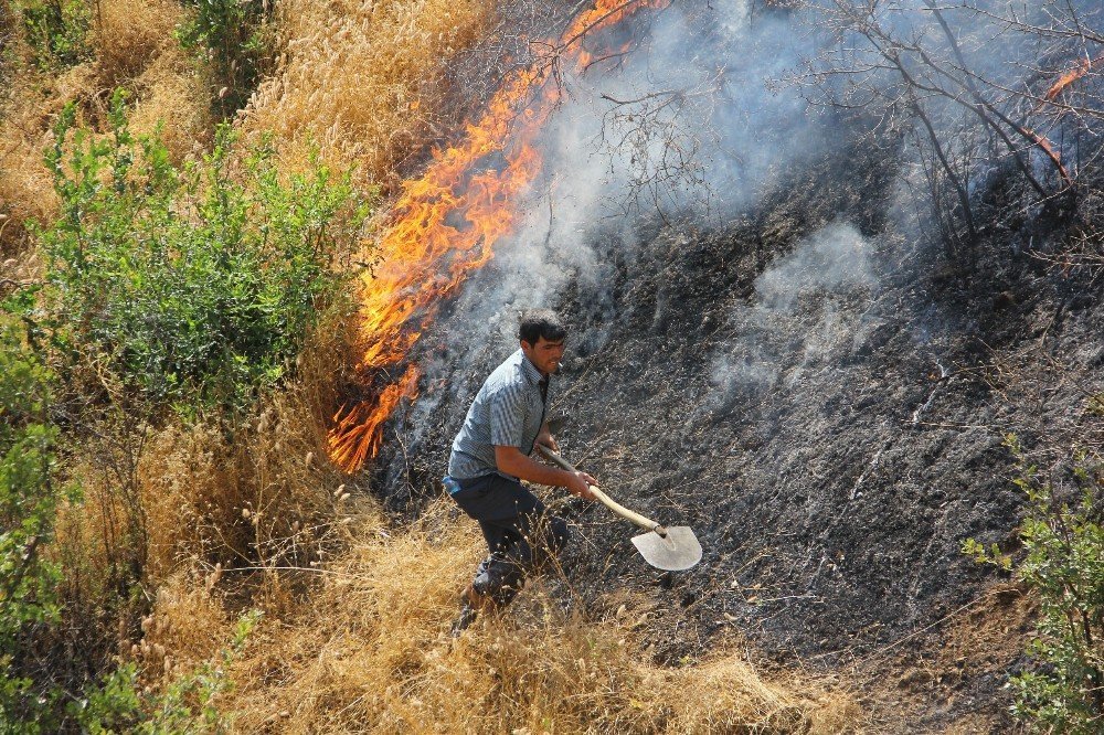 Hizan’da orman yangını
