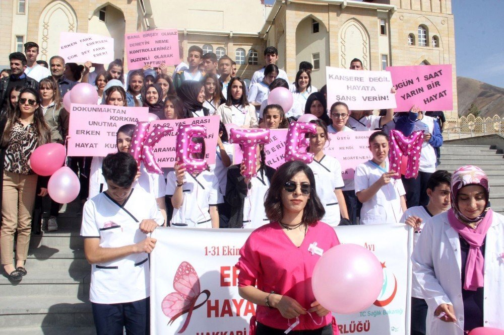 Hakkari'de meme kanseri farkındalık yürüyüşü düzenlendi