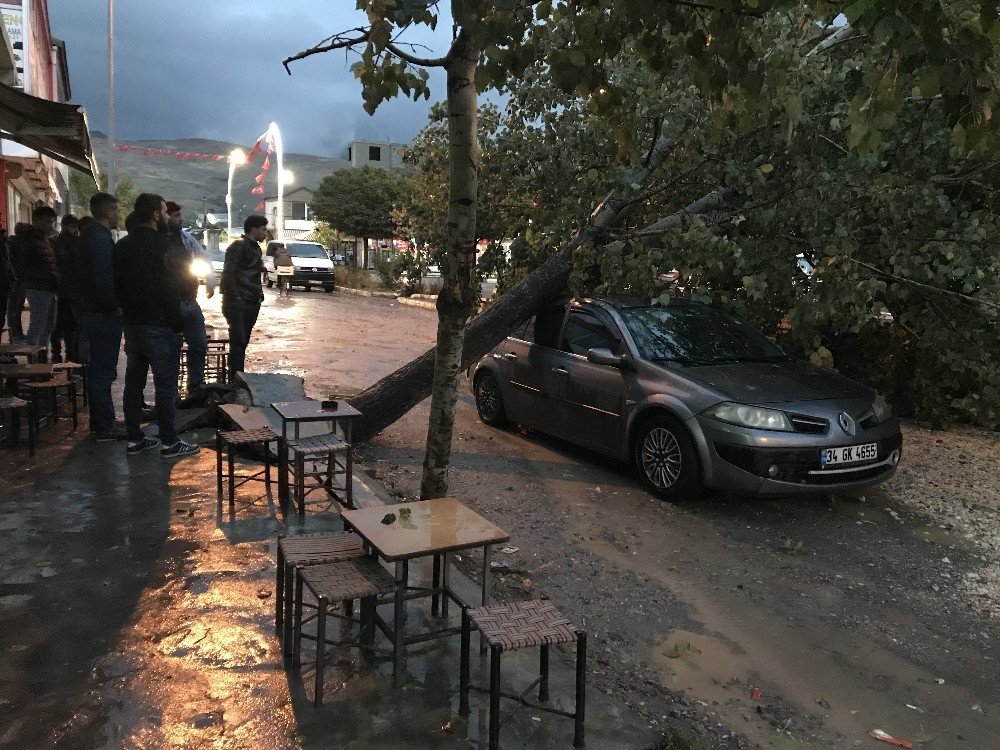 Muradiye’de etkili olan yağmur ve fırtına hayatı olumsuz etkiledi