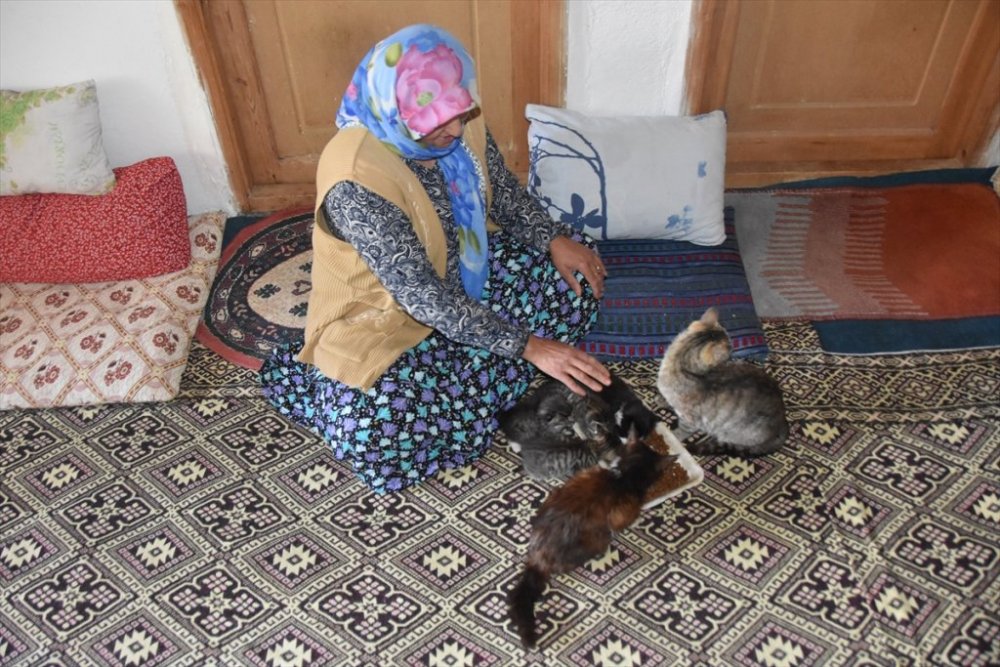 Hastalığına rağmen sahiplendiği kedilere "anne şefkatiyle" bakıyor