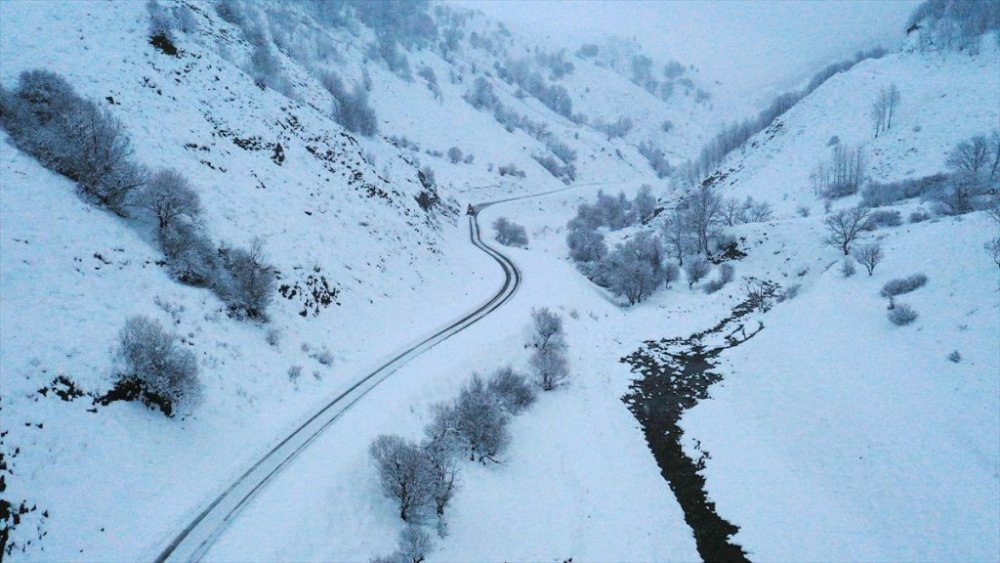 Hakkari, Van, Bitlis ve Muş'ta 821 yerleşim yerinin yolu ulaşıma kapandı