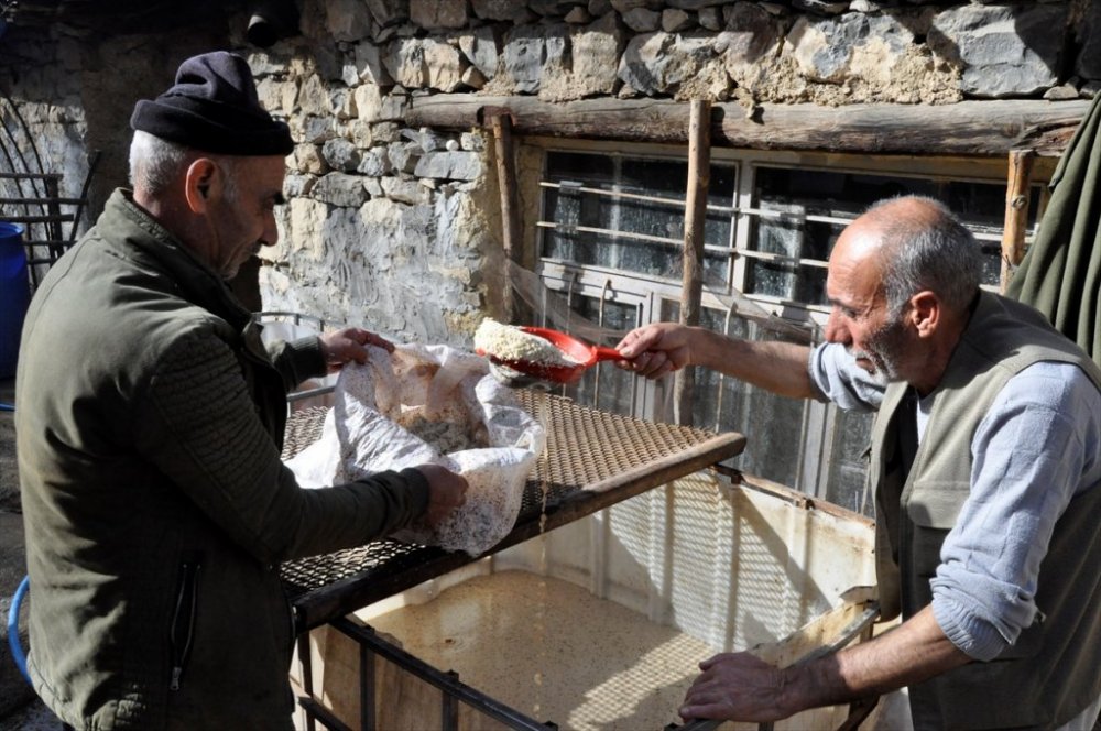 Çukurca'da tarihi değirmende üretilen tahin birçok kente gönderiliyor