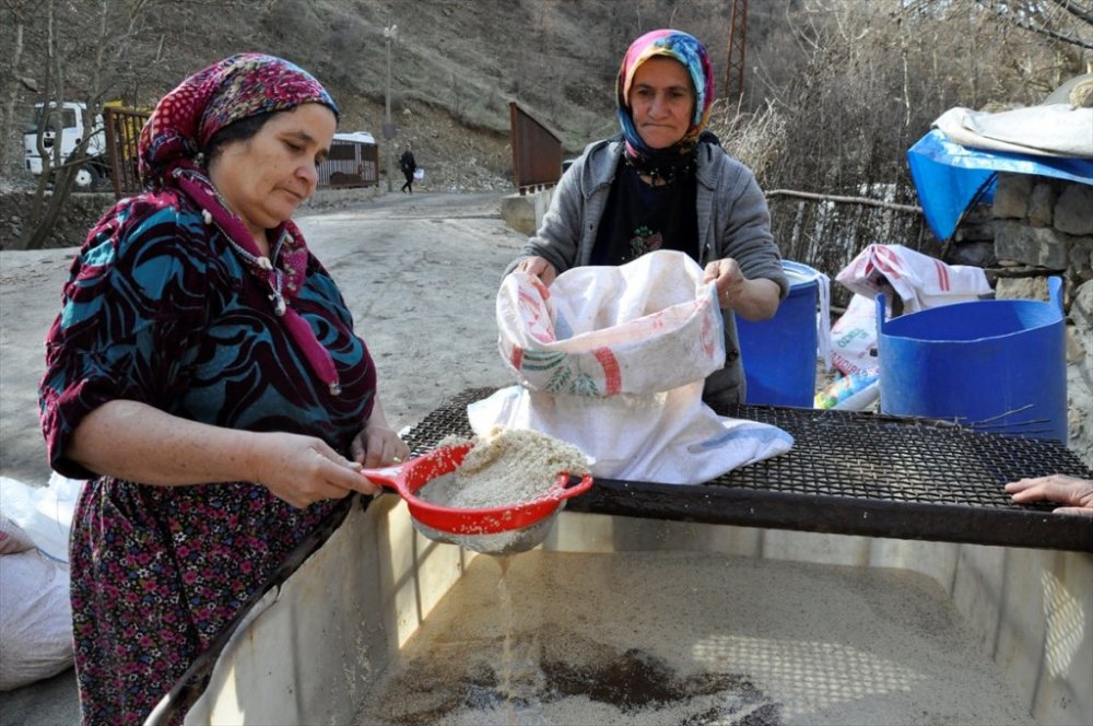 Çukurca'da tarihi değirmende üretilen tahin birçok kente gönderiliyor