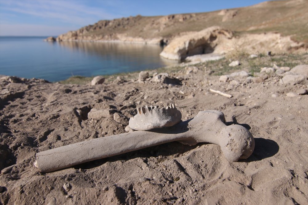 Van'da Demir Çağı'na ait insan kemikleri, seramik ve çömlek parçaları bulundu
