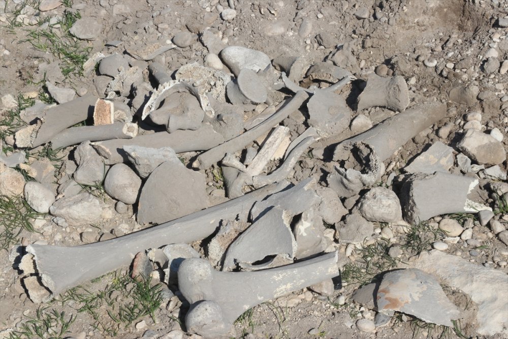 Van'da Demir Çağı'na ait insan kemikleri, seramik ve çömlek parçaları bulundu