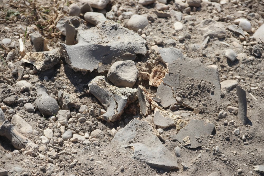 Van'da Demir Çağı'na ait insan kemikleri, seramik ve çömlek parçaları bulundu