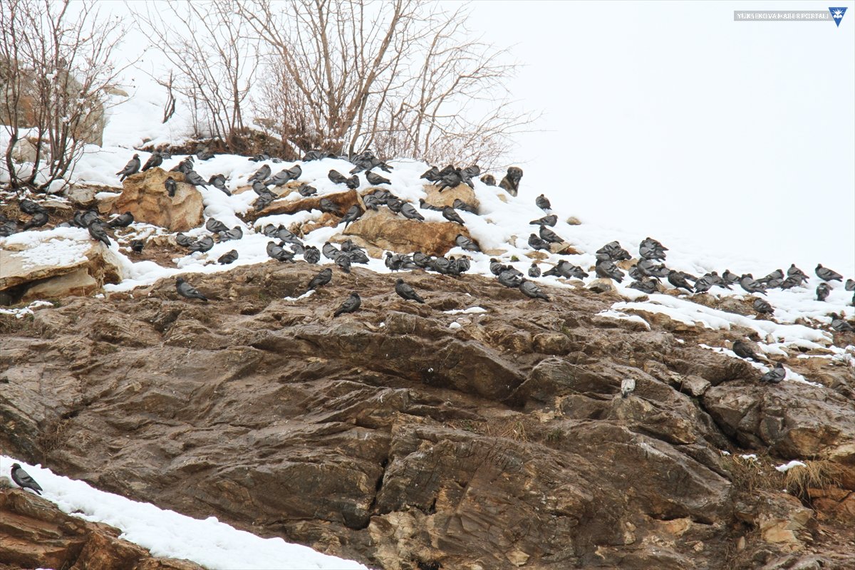 20220128-2-51936474-73083848-web.jpg