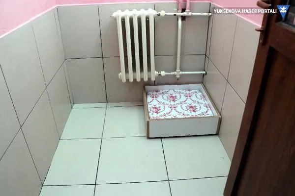 van-kedisi.webp