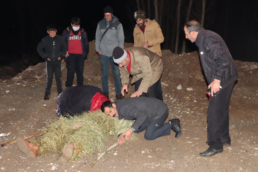 Van'da köylülerin kış eğlencesi "köse-gelin" geleneği yaşatılıyor