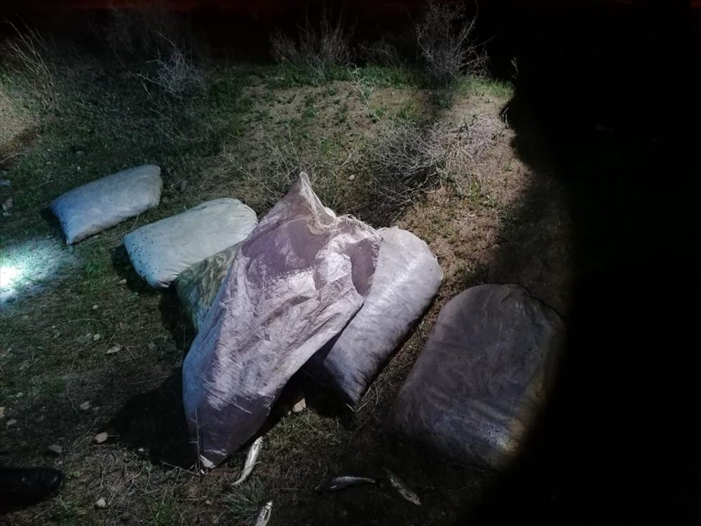 Van'da kaçak avlanılan 1 ton 320 kilogram inci kefali ele geçirildi