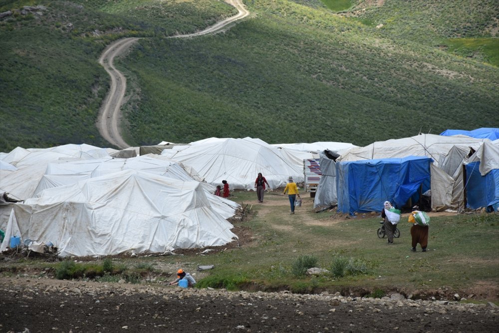Hakkari'de hayvancılıkla uğraşan aileler 2 bin 800 rakımlı yaylada bayramlaştı