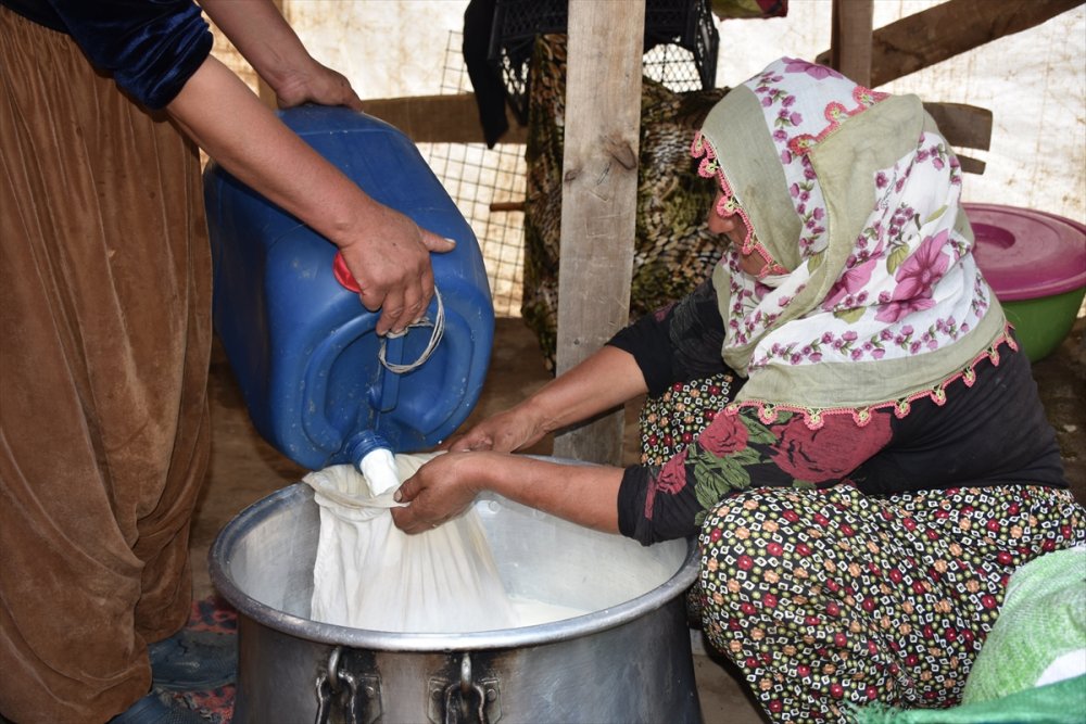 Hakkari'de hayvancılıkla uğraşan aileler 2 bin 800 rakımlı yaylada bayramlaştı