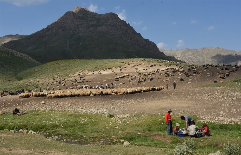Hakkari'de hayvancılıkla uğraşan aileler 2 bin 800 rakımlı yaylada bayramlaştı
