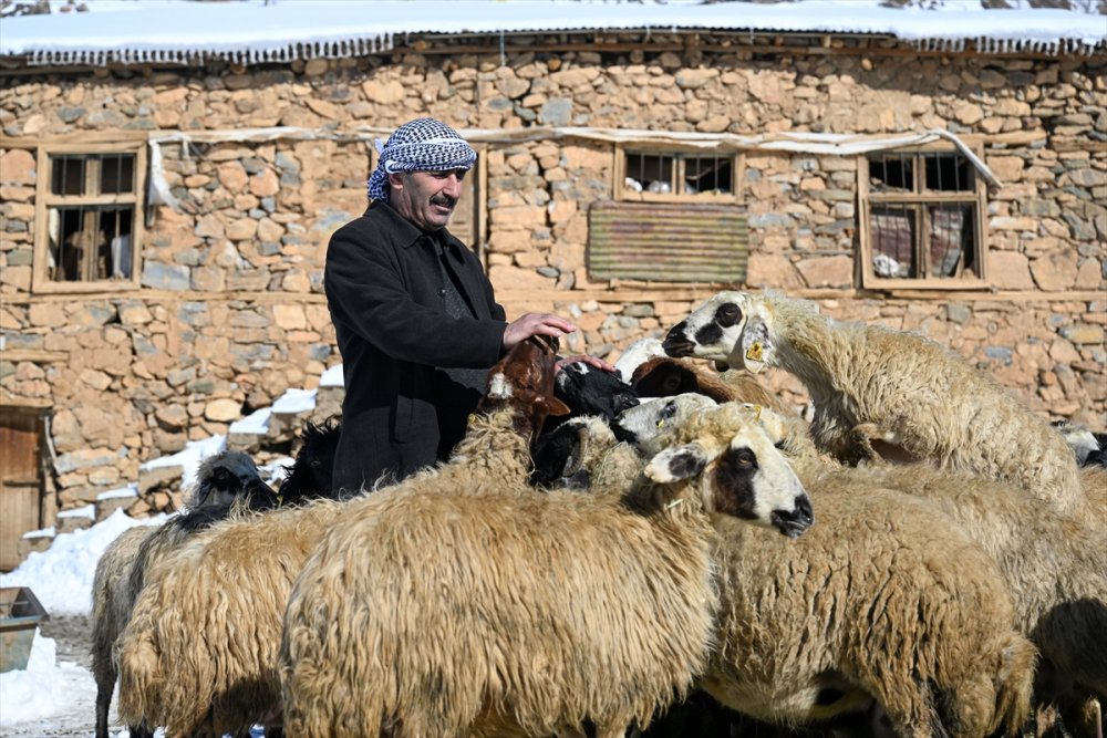 Van'da 42 kişinin hayatını kaybettiği çığ felaketinin tanıkları o acı günü unutamıyor
