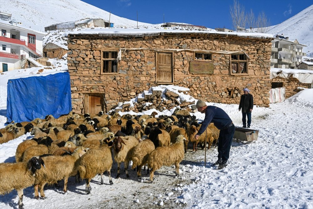 Van'da 42 kişinin hayatını kaybettiği çığ felaketinin tanıkları o acı günü unutamıyor