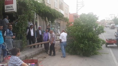 Ergani'de Şiddetli Fırtına